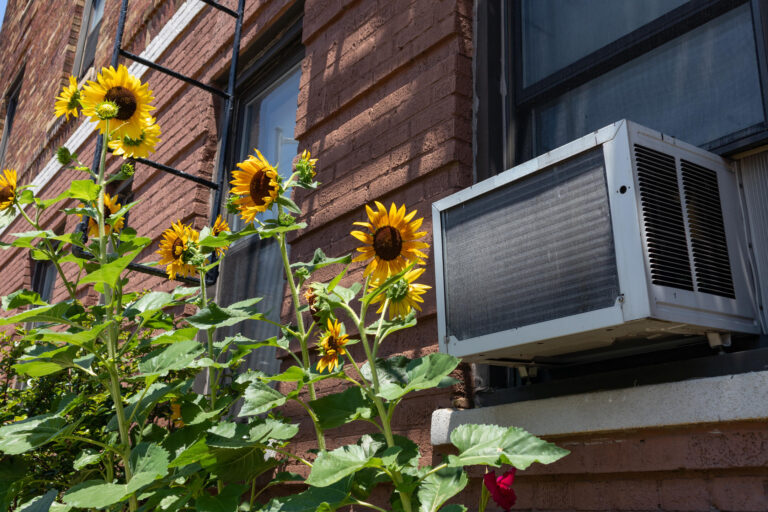 how to install window air conditioner-ac unit installed in an apartment building with sunflowers outside